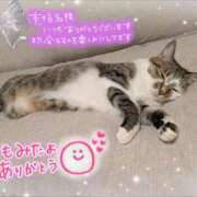 ヒメ日記 2025/10/19 19:14 投稿 まい club Ego