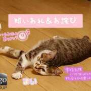 ヒメ日記 2025/10/21 19:32 投稿 まい club Ego