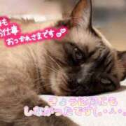 ヒメ日記 2025/10/22 20:48 投稿 まい club Ego