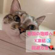 ヒメ日記 2025/10/23 10:09 投稿 まい club Ego