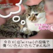 ヒメ日記 2025/10/23 23:47 投稿 まい club Ego