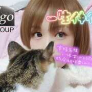 ヒメ日記 2025/10/26 20:08 投稿 まい club Ego