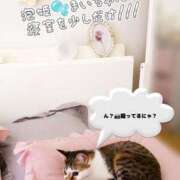 ヒメ日記 2025/11/01 13:19 投稿 まい club Ego