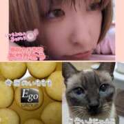 ヒメ日記 2025/11/08 19:20 投稿 まい club Ego