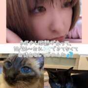 ヒメ日記 2025/11/11 17:29 投稿 まい club Ego