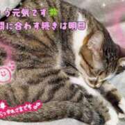 ヒメ日記 2025/11/12 17:25 投稿 まい club Ego