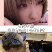 ヒメ日記 2025/11/17 20:31 投稿 まい club Ego