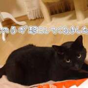 ヒメ日記 2025/11/24 05:22 投稿 まい club Ego