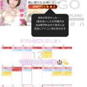 ヒメ日記 2025/12/16 10:11 投稿 まい club Ego