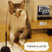 ヒメ日記 2025/12/27 18:13 投稿 まい club Ego