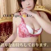 ヒメ日記 2026/01/13 09:03 投稿 まい club Ego