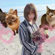 ヒメ日記 2026/02/04 11:26 投稿 まい club Ego