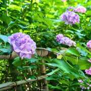 ヒメ日記 2025/06/20 23:28 投稿 みぃ 舐めフェチの会