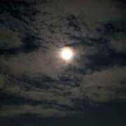 ヒメ日記 2025/10/31 02:01 投稿 沙那（サナ） アバンチュール(五反田)