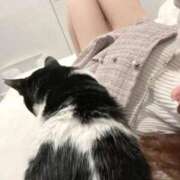 るり 12/8💌15時45分からお誘いくれたお兄様へ ふわふわコレクション川越店