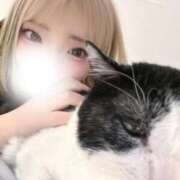 ヒメ日記 2026/06/14 08:14 投稿 るり ふわふわコレクション川越店
