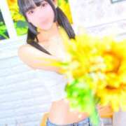 ヒメ日記 2025/07/11 13:00 投稿 いおり 池袋マリン別館