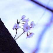 ヒメ日記 2026/03/11 09:30 投稿 ゆずき 小山人妻隊