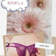 ヒメ日記 2025/07/11 11:50 投稿 シズカ 人妻生レンタル