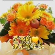 ヒメ日記 2025/07/12 08:20 投稿 シズカ 人妻生レンタル