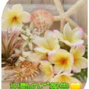 ヒメ日記 2025/07/15 19:20 投稿 シズカ 人妻生レンタル