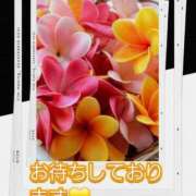 ヒメ日記 2025/07/17 09:01 投稿 シズカ 人妻生レンタル