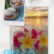 ヒメ日記 2025/07/19 07:20 投稿 シズカ 人妻生レンタル