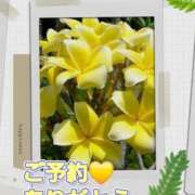 ヒメ日記 2025/08/03 15:20 投稿 シズカ 人妻生レンタル