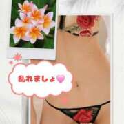 ヒメ日記 2025/08/15 11:30 投稿 シズカ 人妻生レンタル