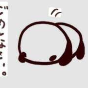 ヒメ日記 2025/08/17 10:55 投稿 シズカ 人妻生レンタル