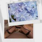 ヒメ日記 2025/08/22 19:20 投稿 シズカ 人妻生レンタル