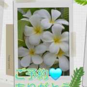 ヒメ日記 2025/08/23 14:16 投稿 シズカ 人妻生レンタル