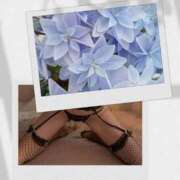 ヒメ日記 2025/08/29 19:20 投稿 シズカ 人妻生レンタル