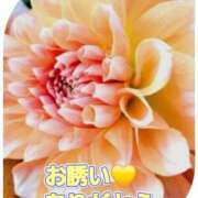 ヒメ日記 2025/09/12 18:10 投稿 シズカ 人妻生レンタル