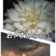 ヒメ日記 2025/09/20 01:46 投稿 シズカ 人妻生レンタル