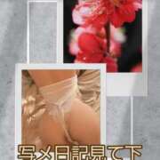 ヒメ日記 2025/09/22 14:10 投稿 シズカ 人妻生レンタル