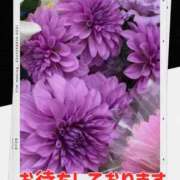 ヒメ日記 2025/10/16 09:20 投稿 シズカ 人妻生レンタル