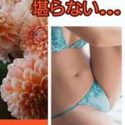 ヒメ日記 2025/10/28 11:30 投稿 シズカ 人妻生レンタル