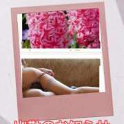 ヒメ日記 2025/11/12 12:50 投稿 シズカ 人妻生レンタル