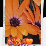 ヒメ日記 2025/11/14 12:20 投稿 シズカ 人妻生レンタル