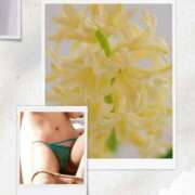 ヒメ日記 2025/11/22 17:50 投稿 シズカ 人妻生レンタル