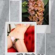 ヒメ日記 2025/11/28 11:50 投稿 シズカ 人妻生レンタル