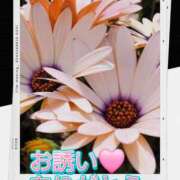 ヒメ日記 2025/11/28 22:15 投稿 シズカ 人妻生レンタル
