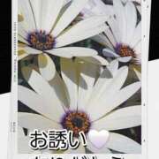 ヒメ日記 2025/12/01 22:00 投稿 シズカ 人妻生レンタル