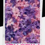 ヒメ日記 2025/12/02 09:10 投稿 シズカ 人妻生レンタル