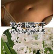 ヒメ日記 2025/12/05 18:31 投稿 シズカ 人妻生レンタル