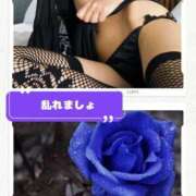 ヒメ日記 2025/12/11 11:50 投稿 シズカ 人妻生レンタル