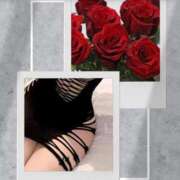 ヒメ日記 2025/12/19 17:20 投稿 シズカ 人妻生レンタル