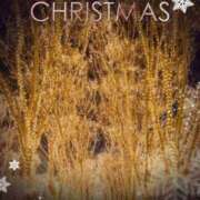 ヒメ日記 2025/12/24 23:20 投稿 シズカ 人妻生レンタル