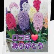 ヒメ日記 2026/01/08 17:20 投稿 シズカ 人妻生レンタル